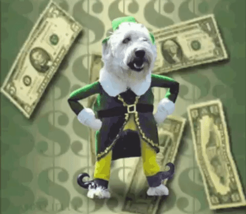 cashdog cash dog
